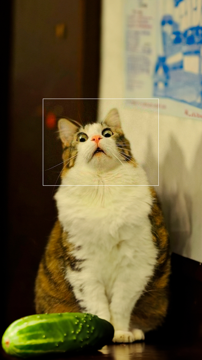       AI (2 ) , ,  , Photoshop,  , , 