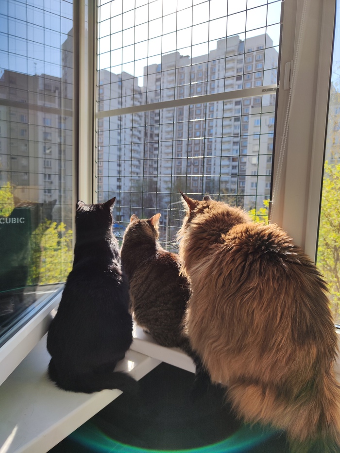 ������� ��� ����!