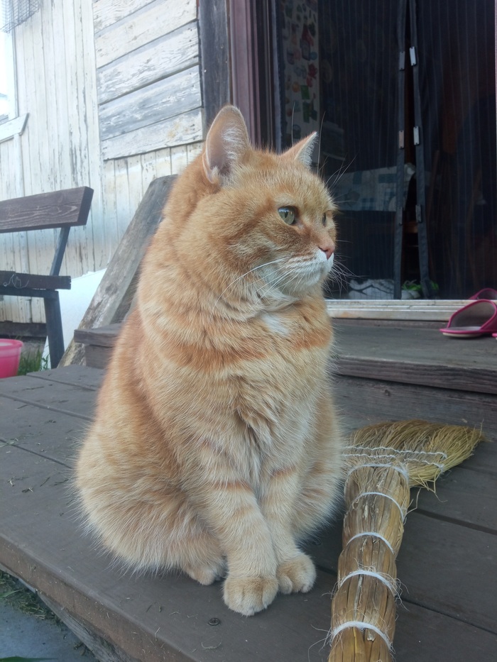 ��� ��� �����