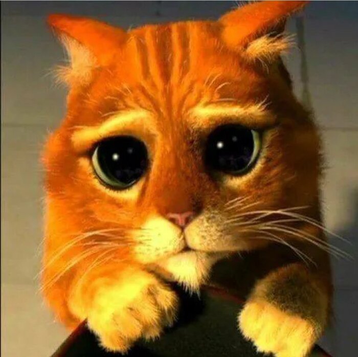 Раз все просят плюсов, то, можно и мне тоже? Пожалуйста