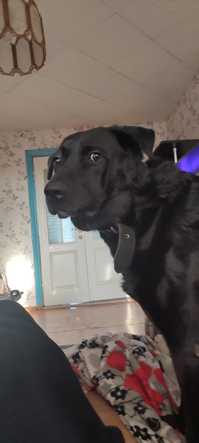 ����