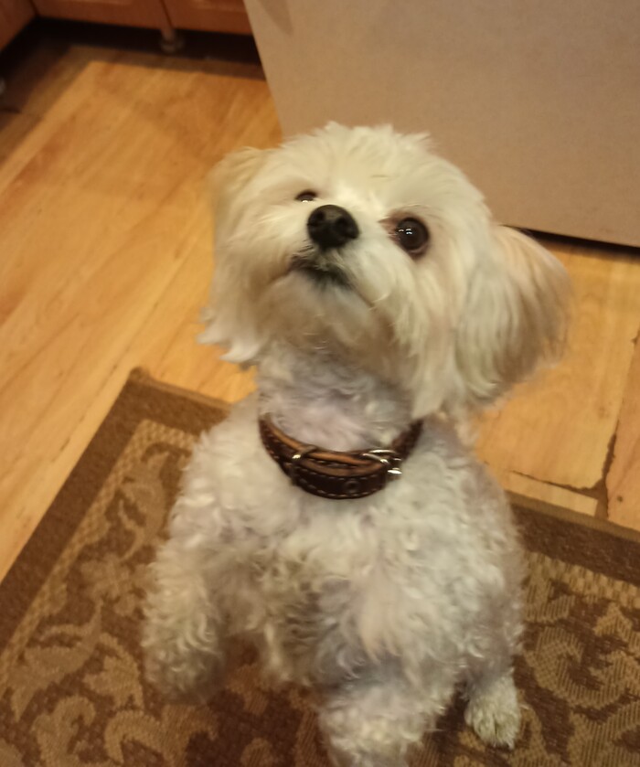 Бунд так бунд: поддержите лайком