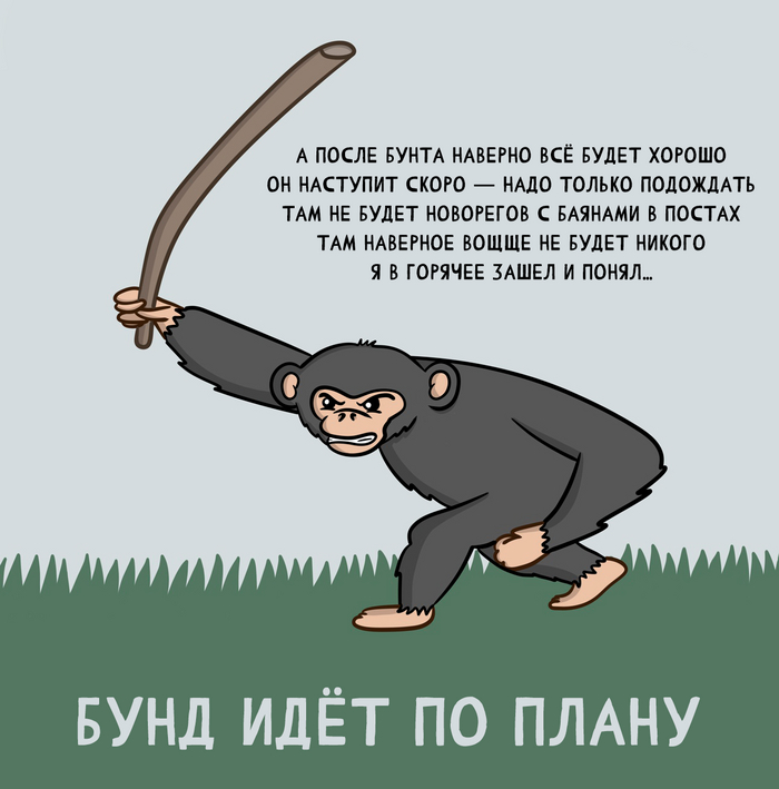 Всё идёт по плану