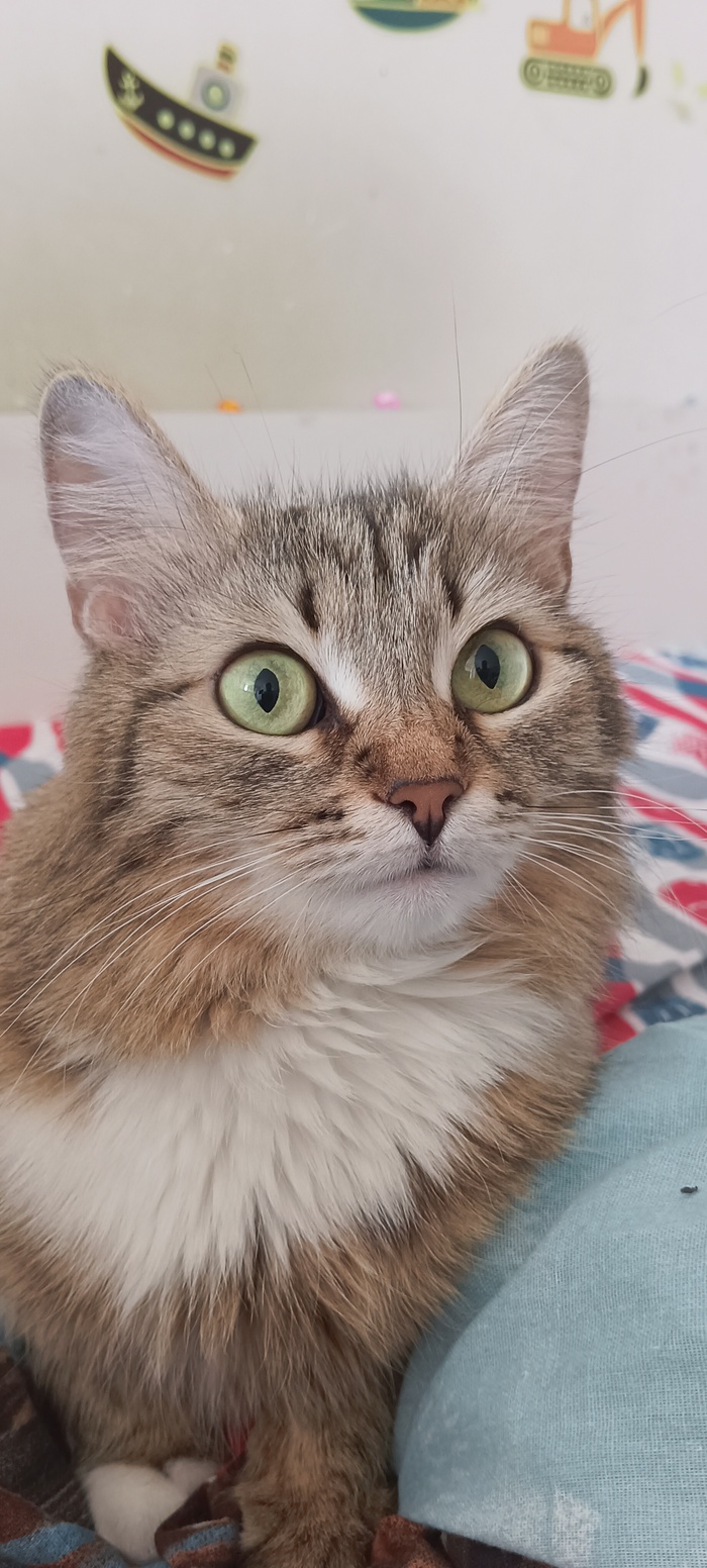 ���� ��*!