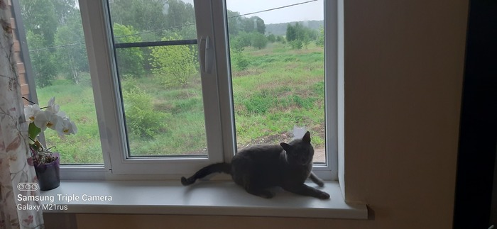 Вид из окна