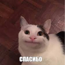 � ����� ��� �������, ��� ��� ������� ������?����� � ��� ������� ����������
