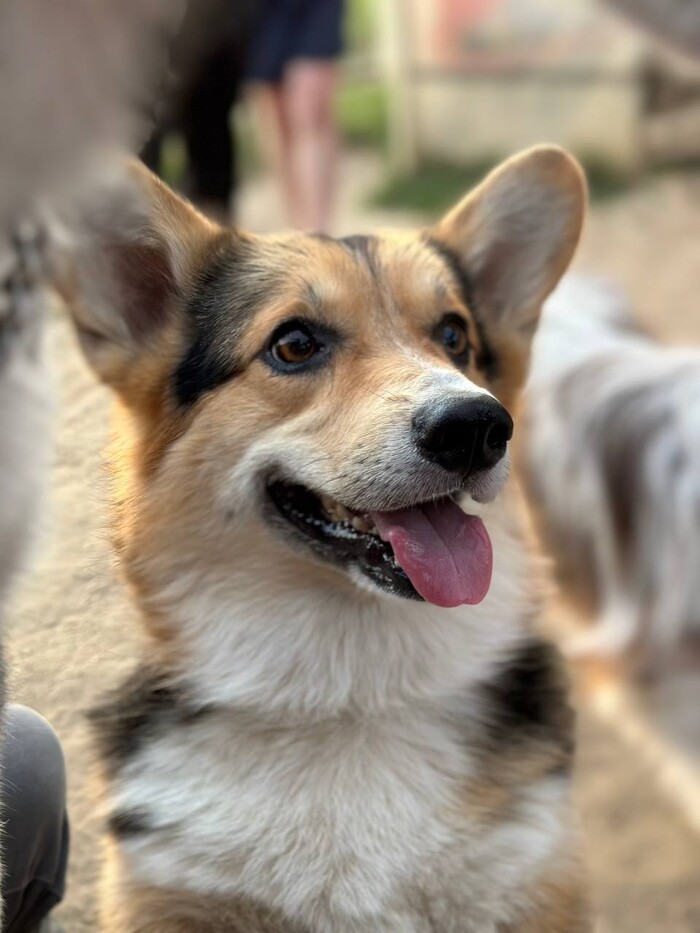 ��� ������ ��