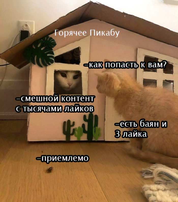 Новый тренд