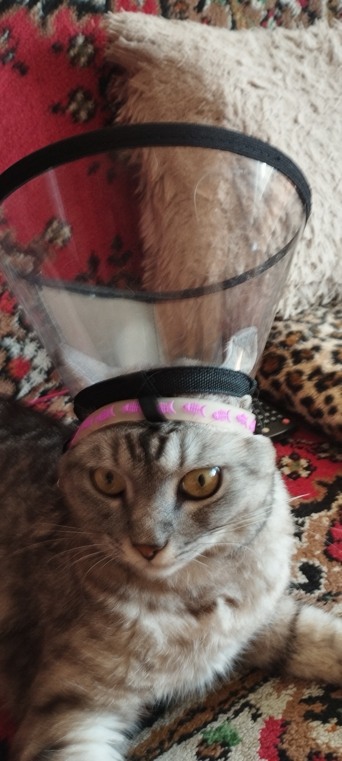 ����� �� ���� ���� ��� ���!�