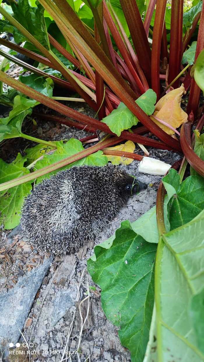 �������� ���� � ����!