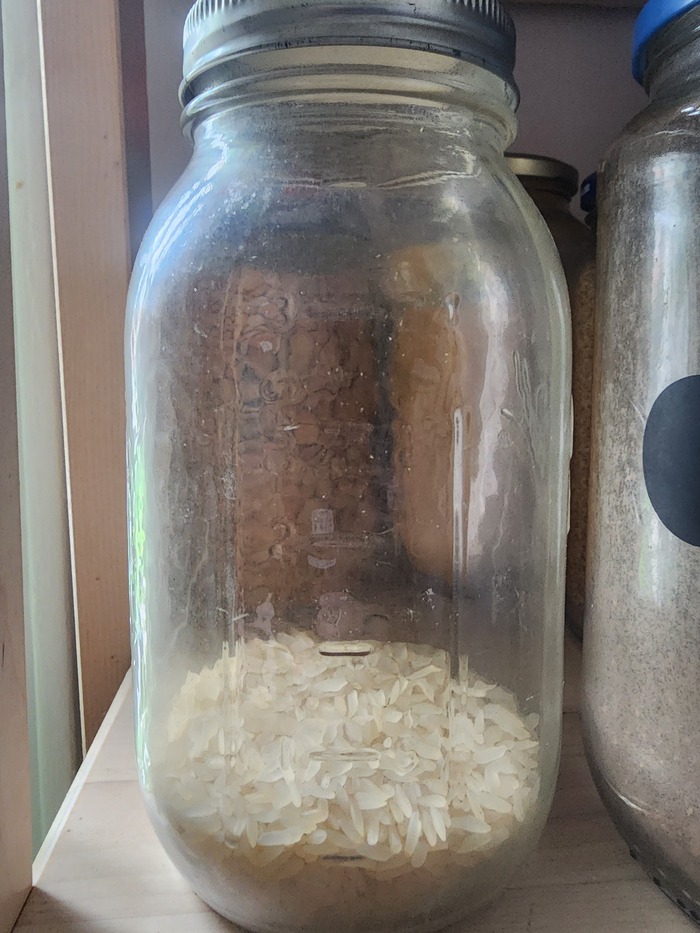 ���� ��� ����?