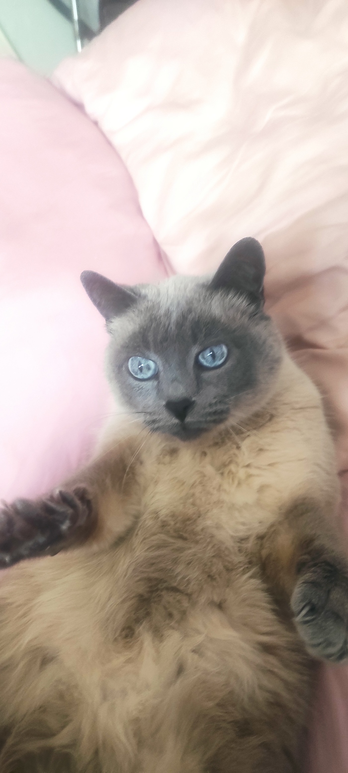 �������� � ��� ��������