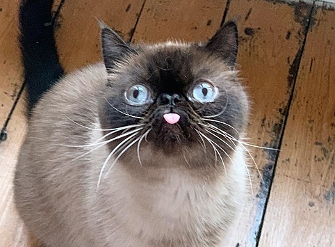      ,   