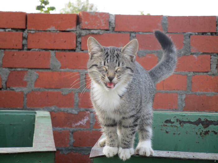 ����������