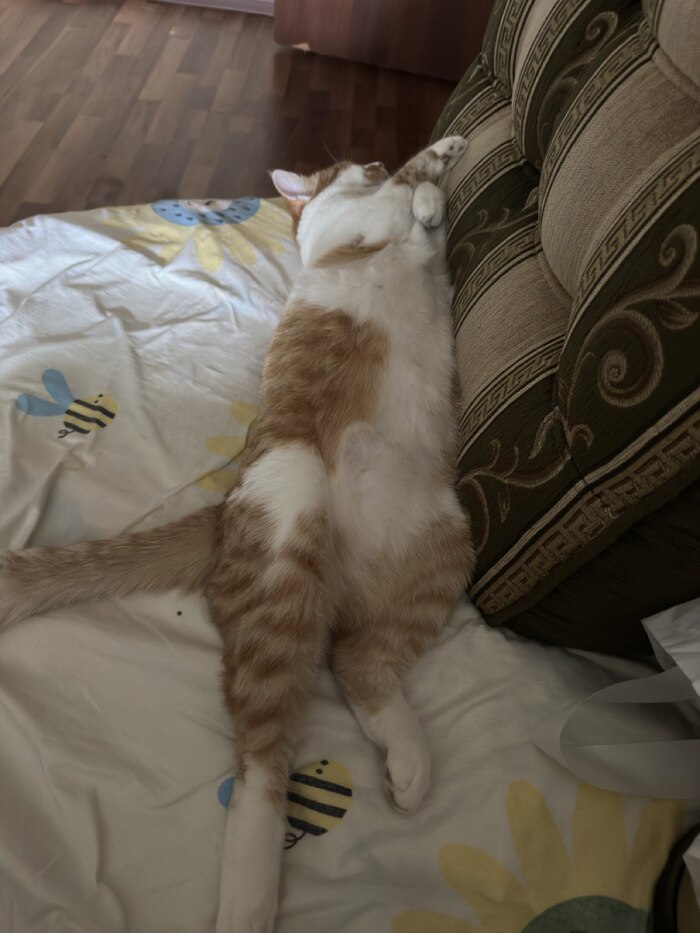      ,    , 