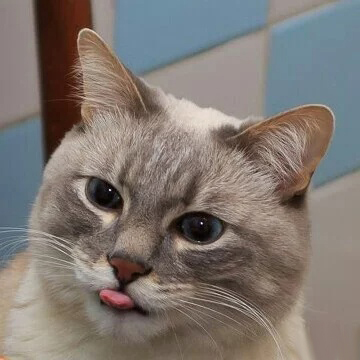 ! ,  , 