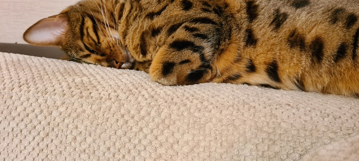 ���� ����. ������� + �� +