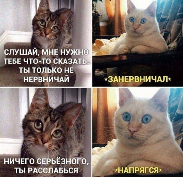   ,   , 