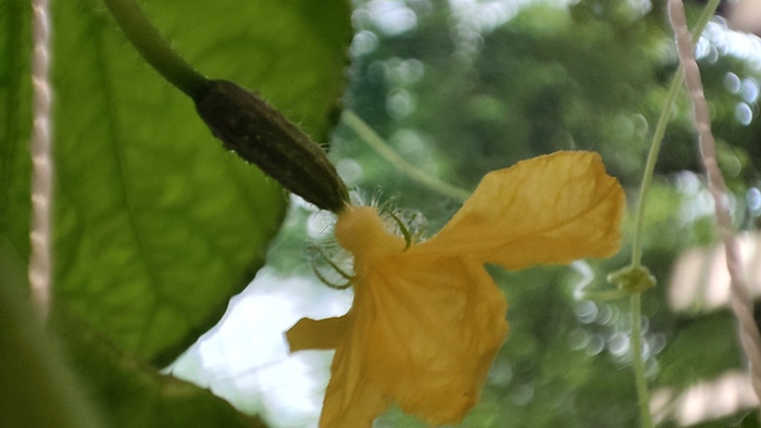    ,     ! , ,   , , ,   , , ,  ,  , 