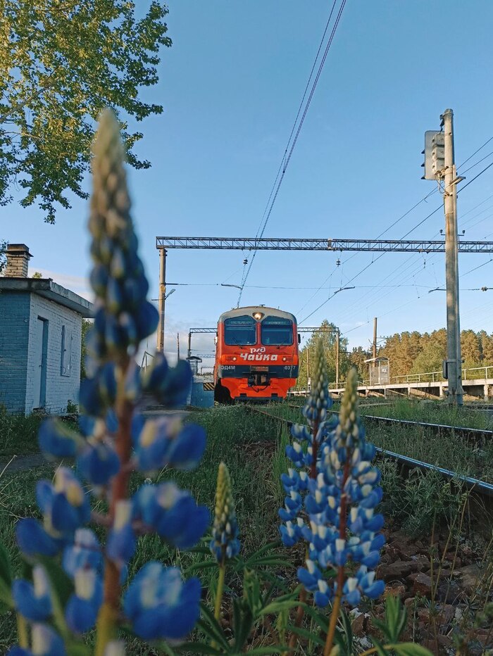 Дневник машиниста: выпуск 1 | Пикабу