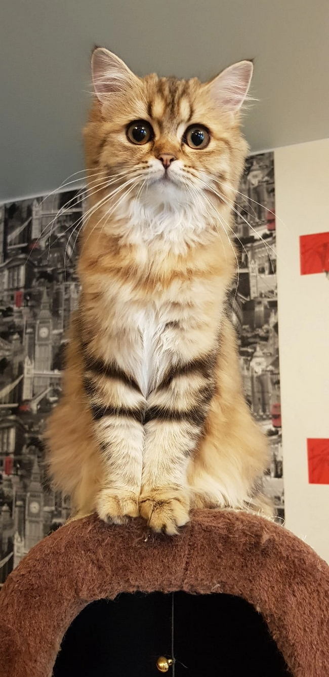 ������ ����� ������ � ����� ������������� ���������!