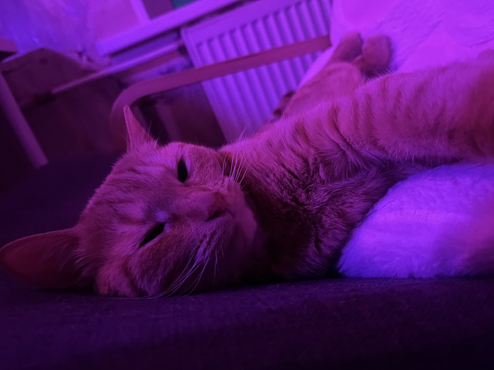 ������� �� ����