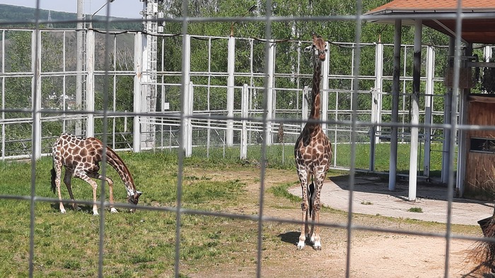 �� �����?