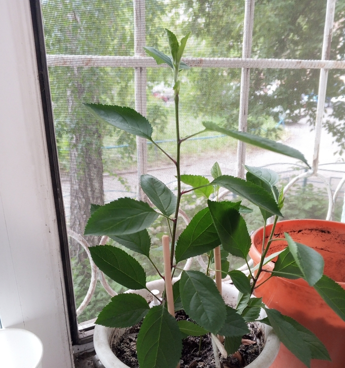 ������������� ����� �������