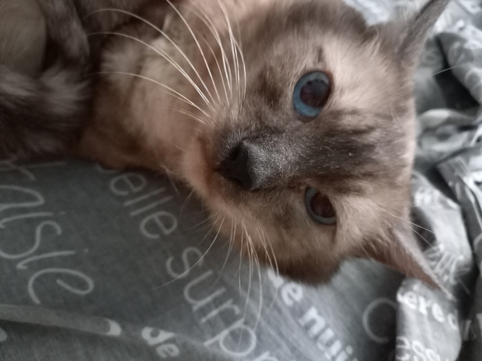 ���� ��� ����