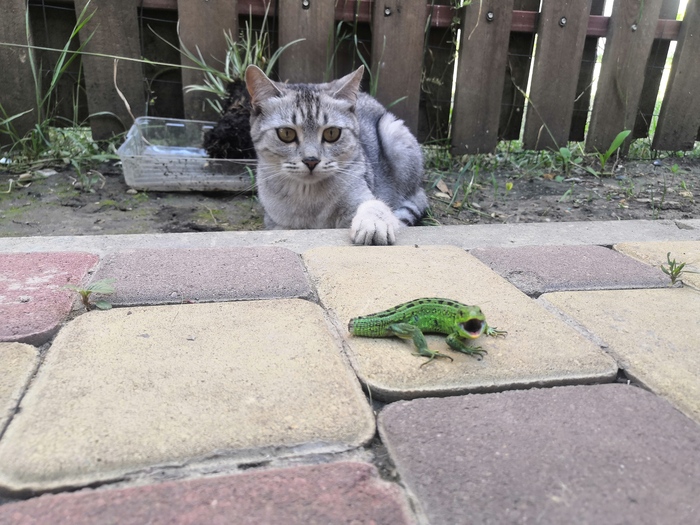 Хороший сайт у вас, и волны интересные...