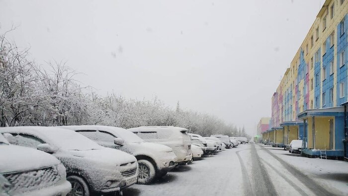 �������� �����������