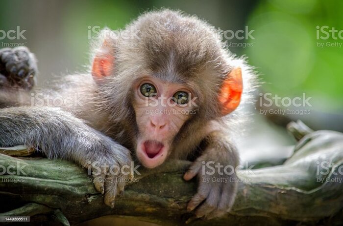 � �� �� ��� �������� ��?