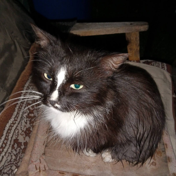 ���� ������� �������