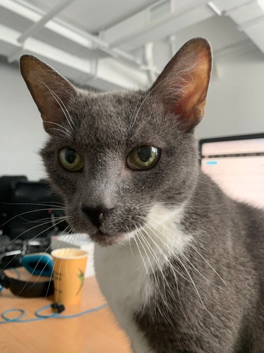 Если этот пост наберет 5к плюсов то этот усяки завтра получит 2 пакетика вкусной еды!