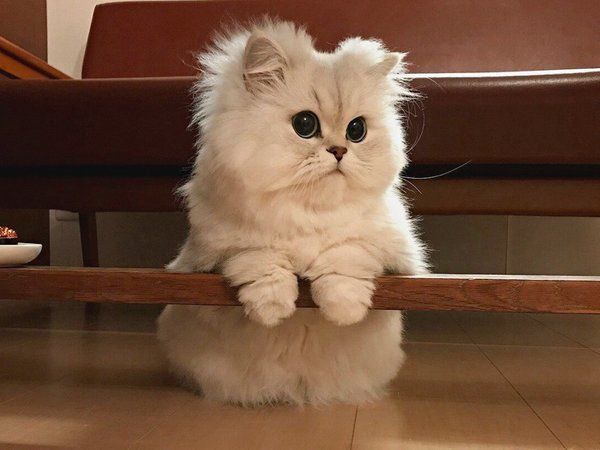 �������?