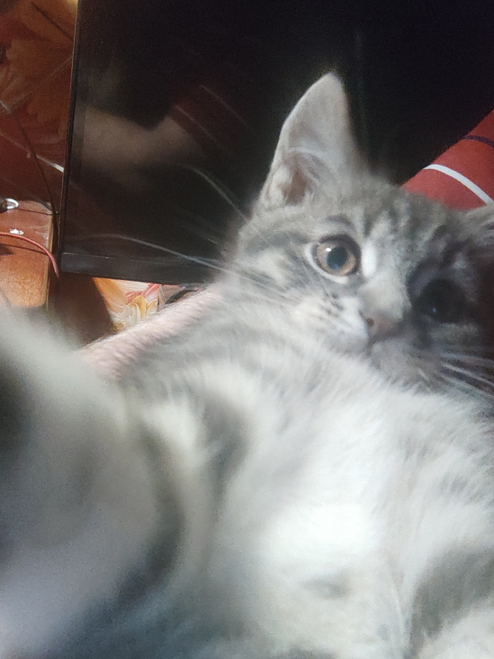 ��� �� ����