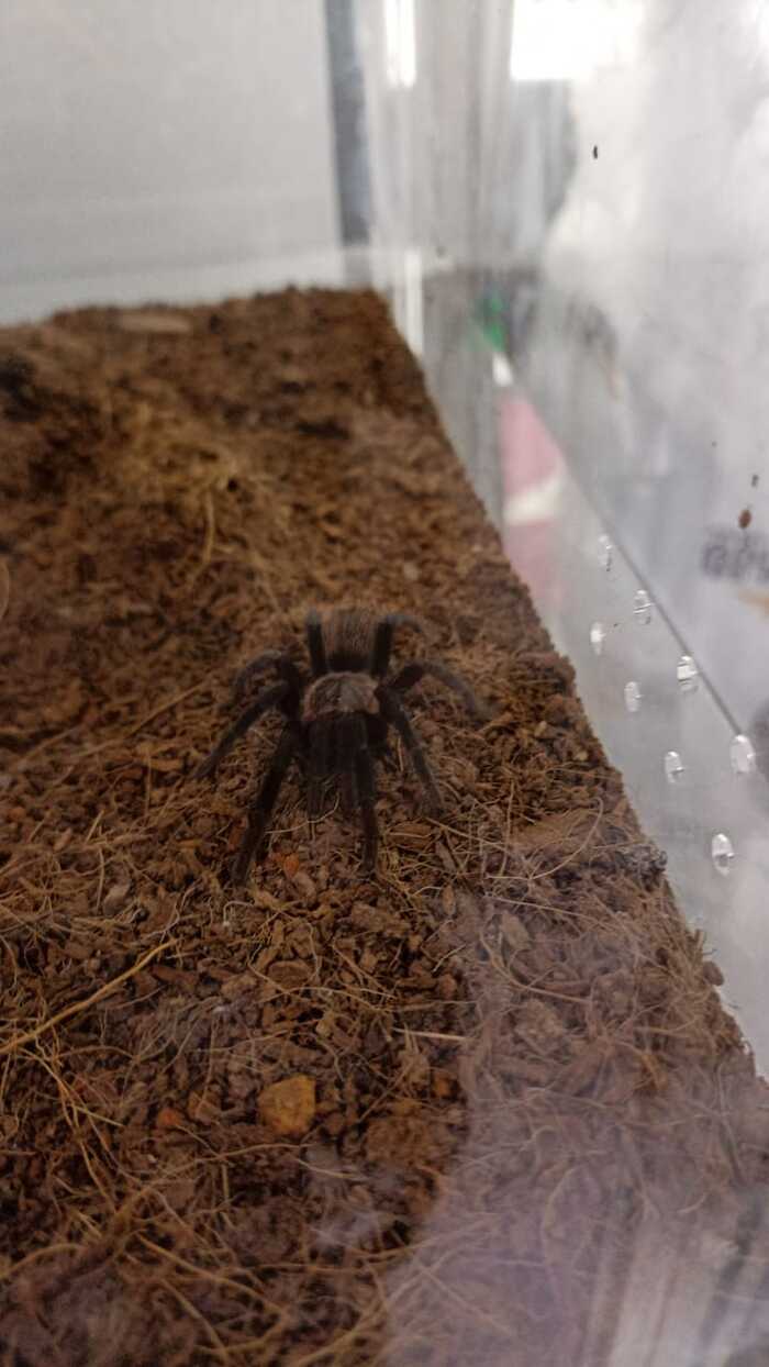 Бунд так бунд, мне тоже накидайте плюсов. И да за 14 июня, мой первый пост)))