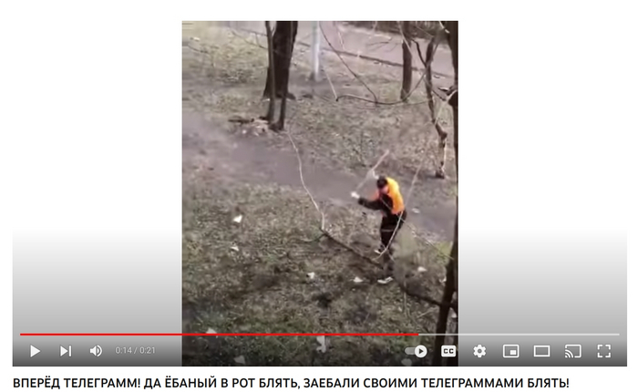 ��� ����� ���� ����