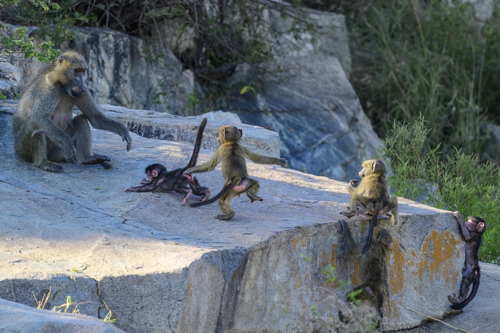 � ��� ���� ����