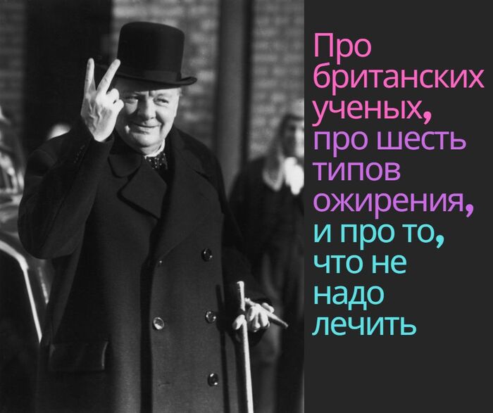 Про шесть типов ожирения. И еще...