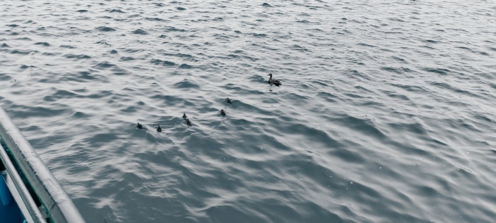   ? &quot; &quot;  180   ?