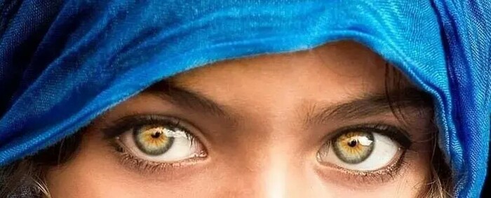 ����������, ������ �� �������� �����