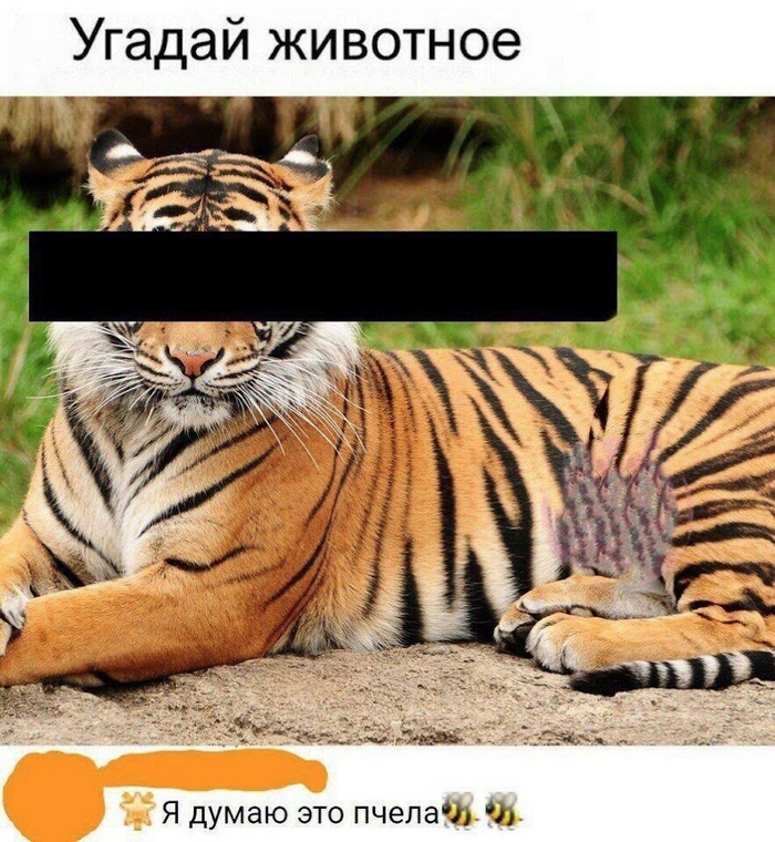 Угадай животное
