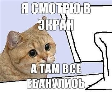 ... ? !