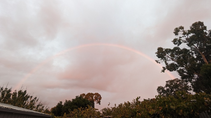 �� ����� �����