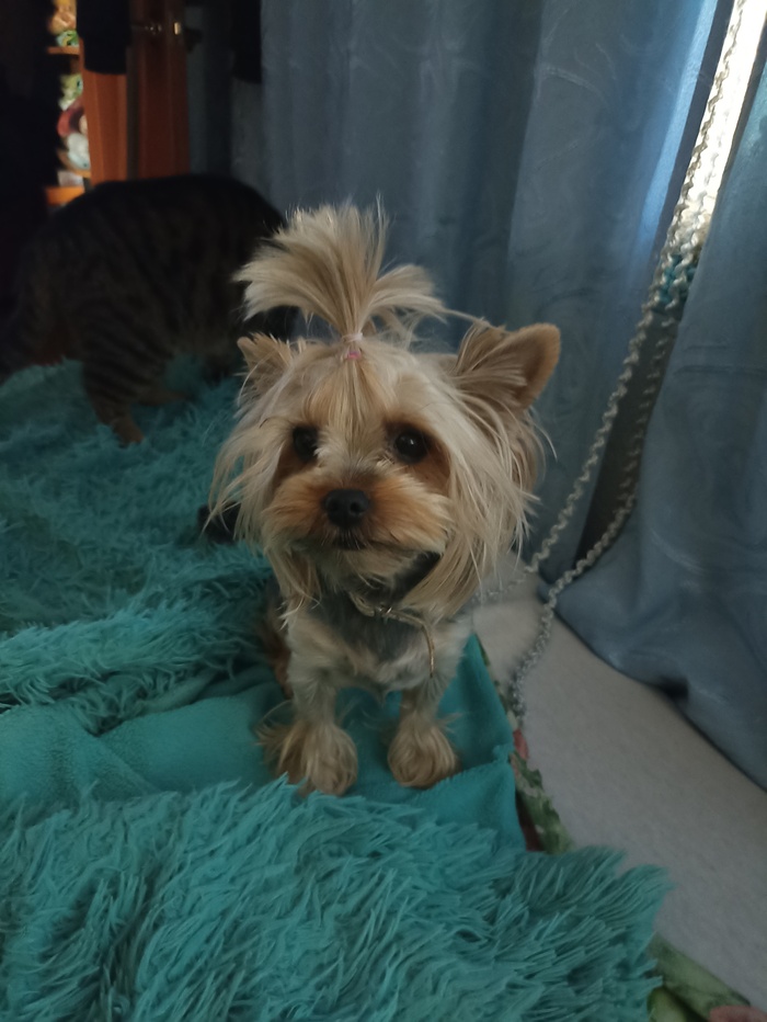 Бундуем дальше