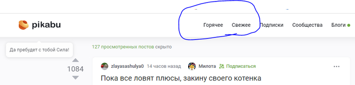 � ���� ������ ������?