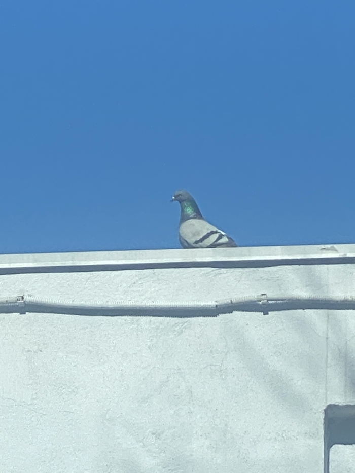 ������� �� �����!