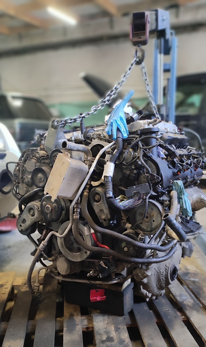 Какой нахер бунт?!