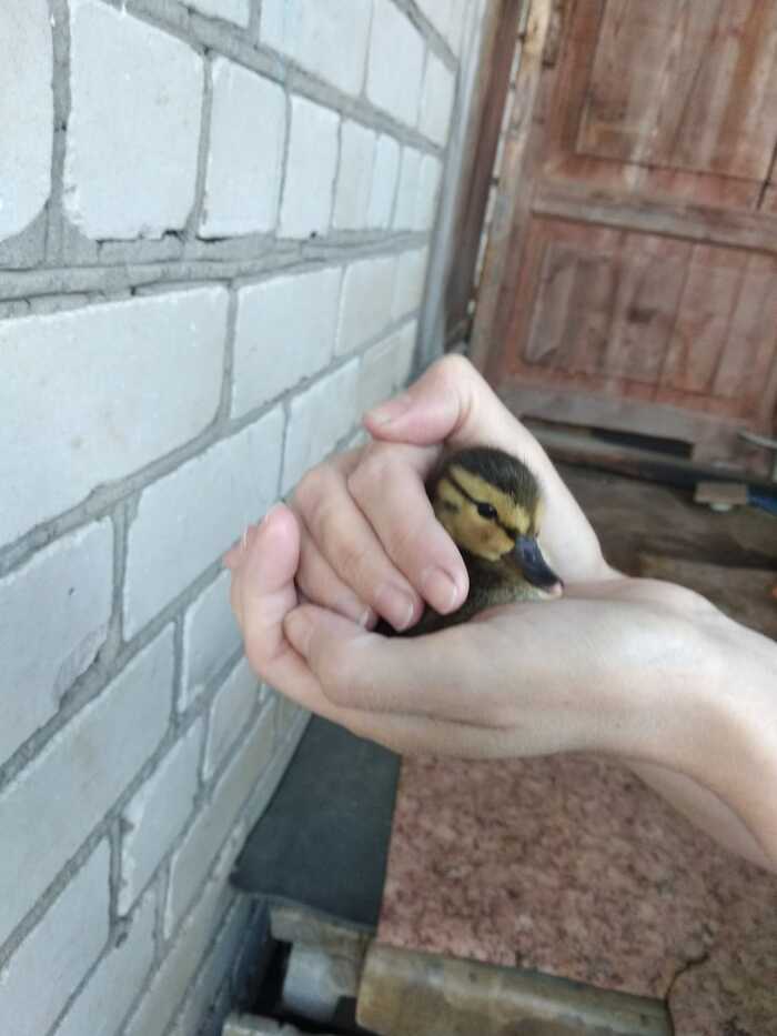    , , ,  , ,  